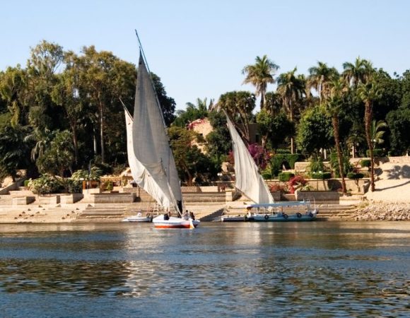 Private 1-Hour Felucca Sailing and Botanical Garden In Aswan